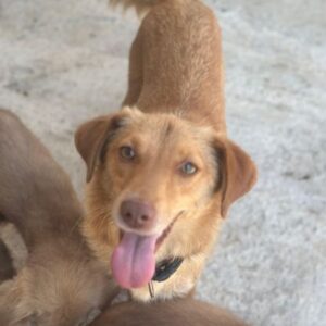 Lina – geb. ca. 07/2025