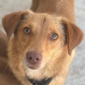 Lina – geb. ca. 07/2025