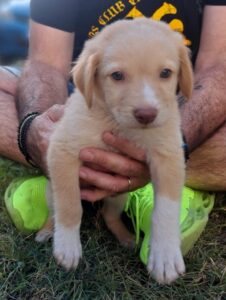 Lucas – geb. ca. 04/2026