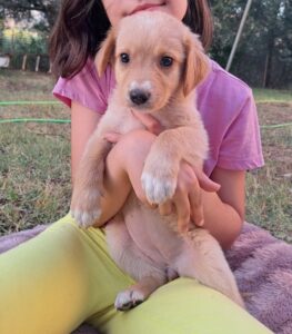 Milly-Anne – geb. ca. 04/2026