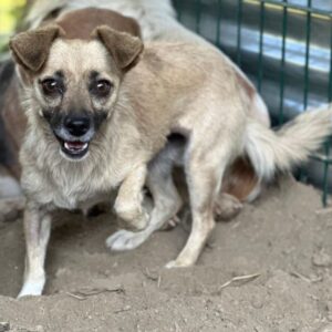 Miri – geb. ca. 07/2023