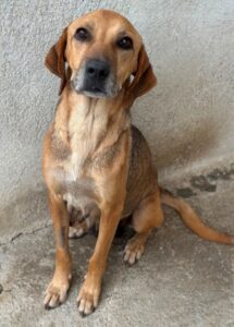 Angelina – geb. ca. 07/2022