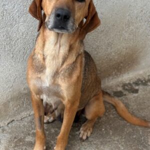 Angelina – geb. ca. 07/2022
