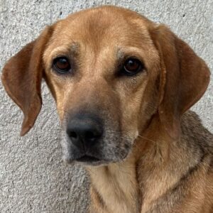 Angelina – geb. ca. 07/2022