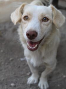 Lanya – geb. ca. 08/2024
