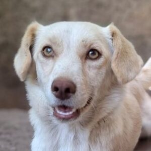 Lanya – geb. ca. 08/2024
