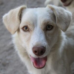 Lanya – geb. ca. 08/2024