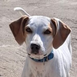 Tala – geb. ca. 11/2025