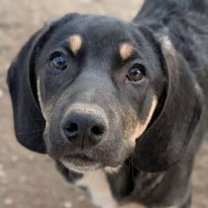 Chia – geb. ca. 05/2026