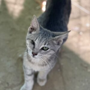 Freya – geb. ca. 05/2026