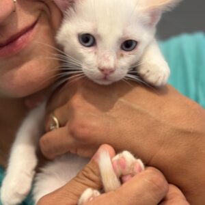 Harry Pawter – geb. ca. 06/2026