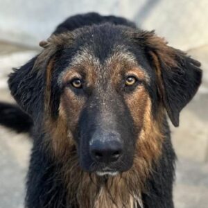 Jon – geb. ca. 11/2025