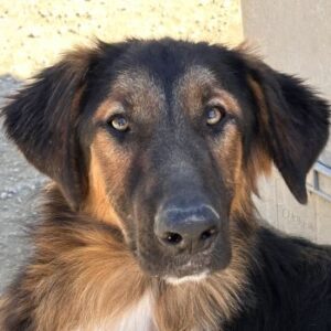 Jon – geb. ca. 11/2025