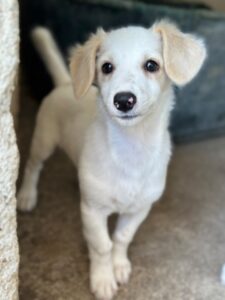 Kim – geb. ca. 06/2026