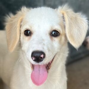 Kim – geb. ca. 06/2026