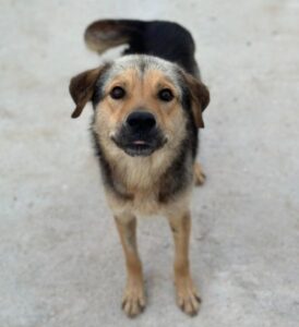 Luigi – geb. ca. 09/2025