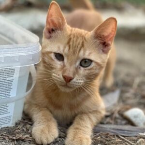 Matti – geb. ca. 05/2026