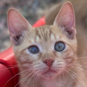 Matti – geb. ca. 05/2026