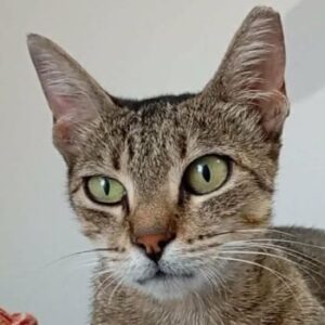 Minka – geb. ca. 09/2024