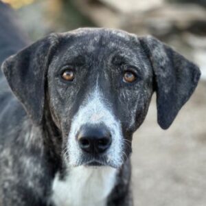 Nayla – geb. ca. 09/2024