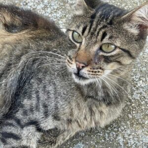 Nora – geb. ca. 06/2024