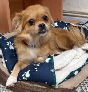 Peggy – geb. ca. 09/2024