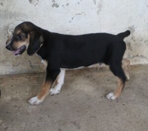 Winn – geb. 06/2026