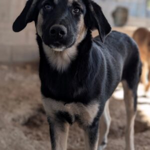 Elina – geb. ca. 03/2026