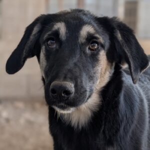 Elina – geb. ca. 03/2026