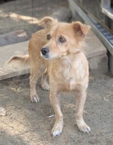Elva – geb. ca. 10/2024
