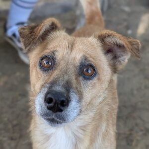 Fenna – geb. ca. 10/2024
